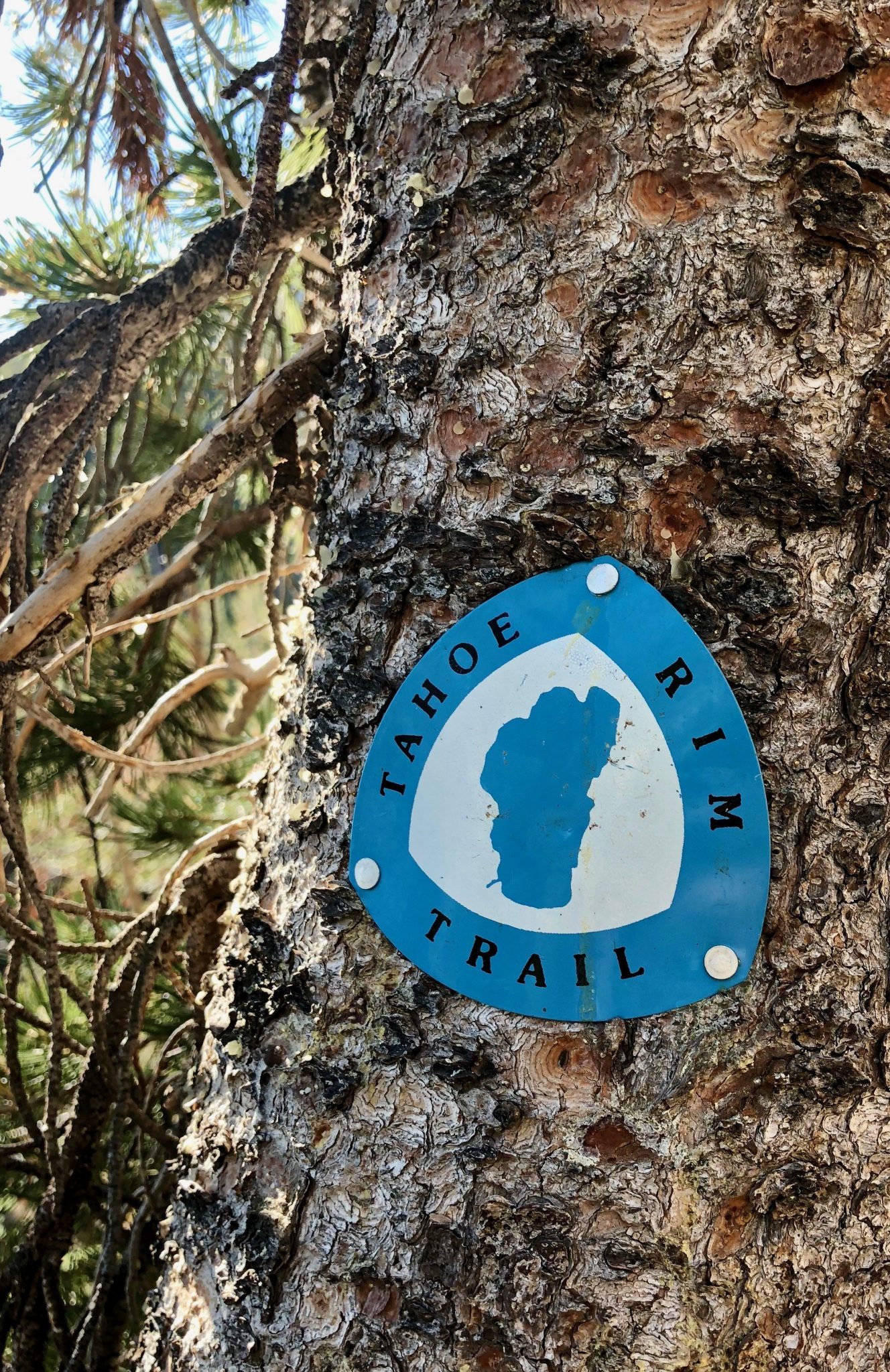 Tahoe Rim Trail marker