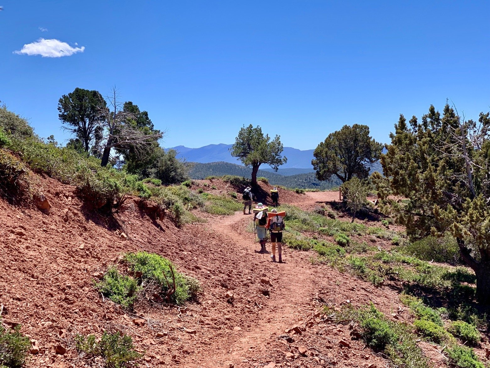 Perfect trail winding into Pine AZ