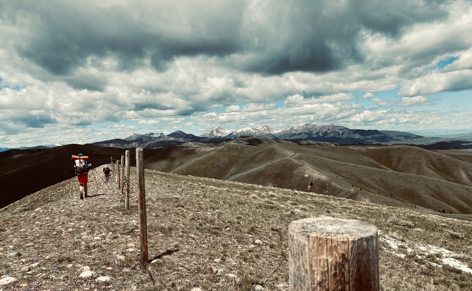 Fence line guiding the way