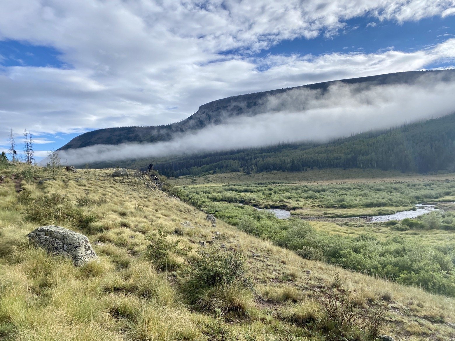 Good morning, Cochetopa Creek