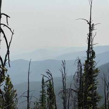 Montana channeling its inner Great Smoky Mountains