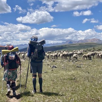 Parting the sheep like the Red Sea