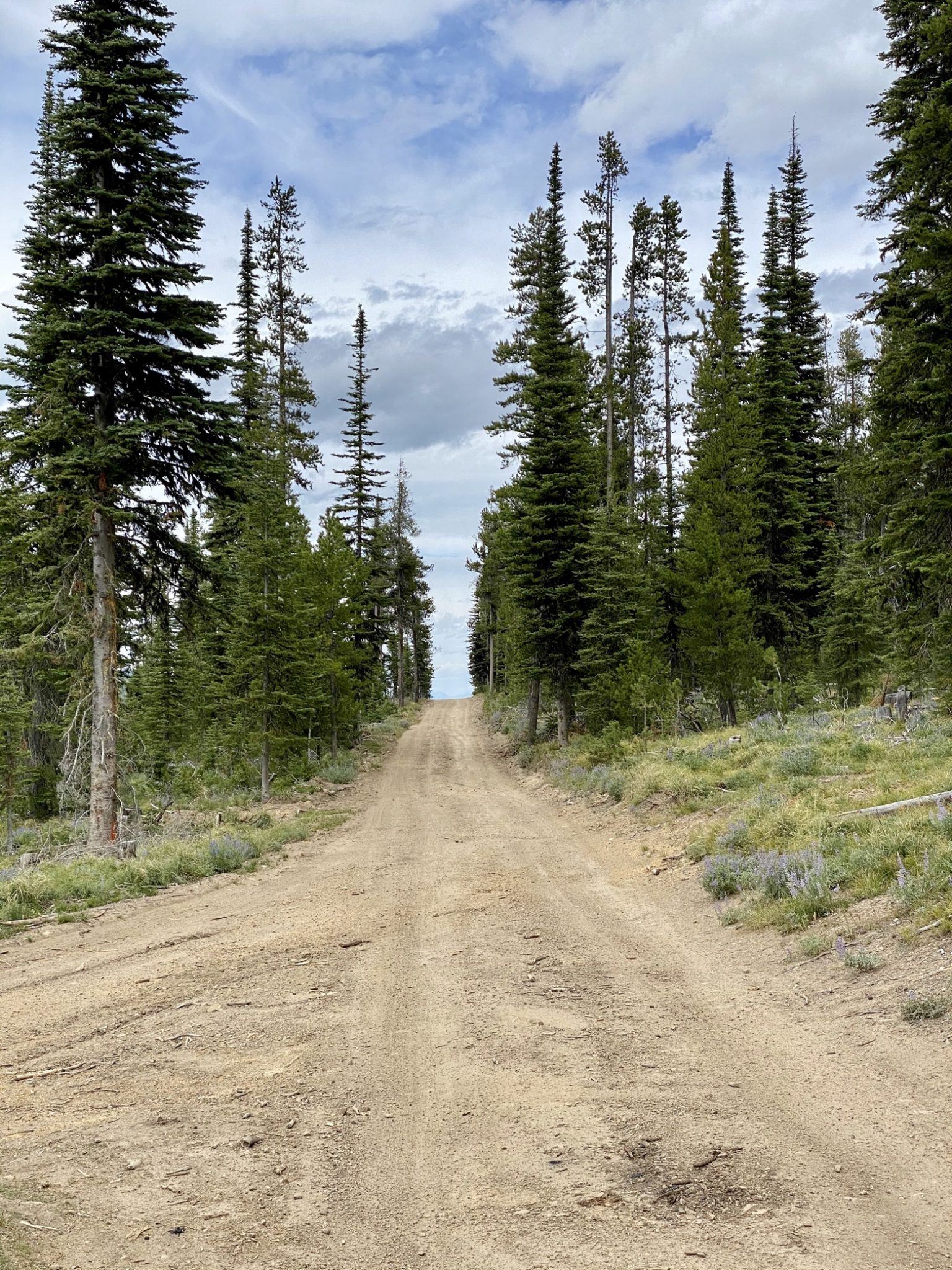 The common dirt-road-as-trail of Montana