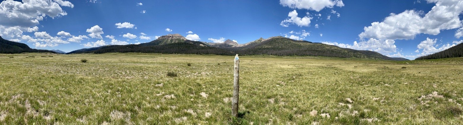 The meadow at Weminuche Pass