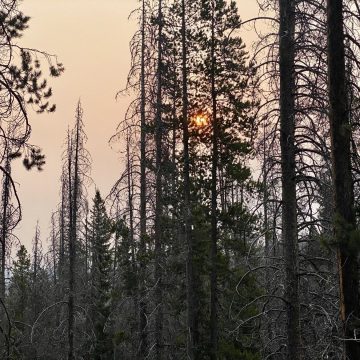 The rising of a fireball sun