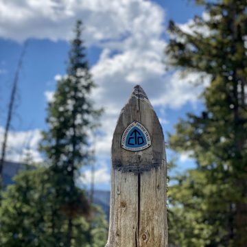 Trail post pointing to the sky