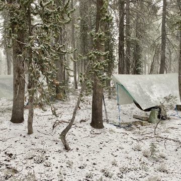 Hammocks and tarps pitched in the snow