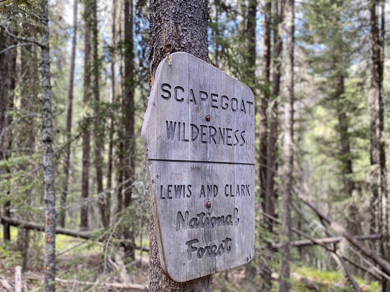 Leaving the Scapegoat Wilderness