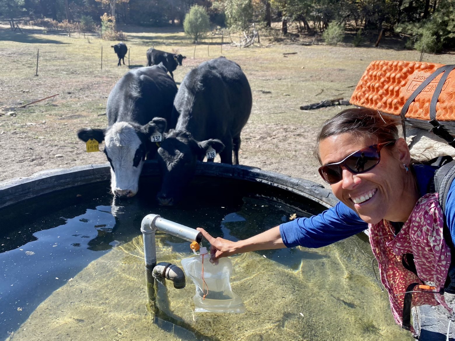 Ace making friends at the local watering hole