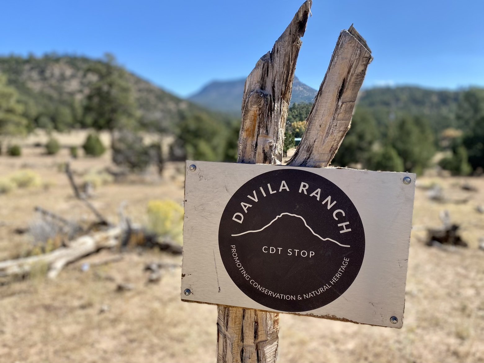 Davila Ranch