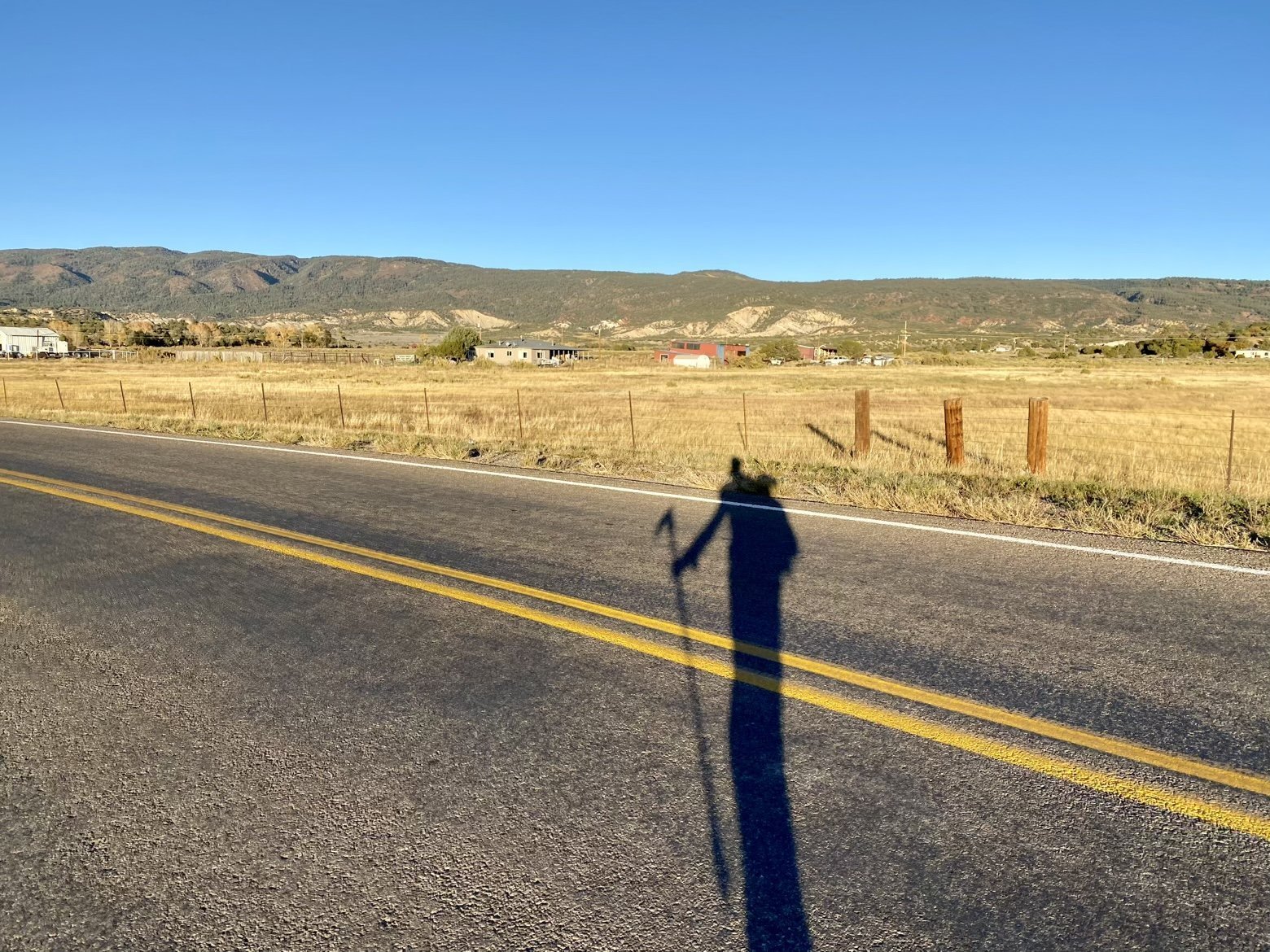 Long shadows along the road into town