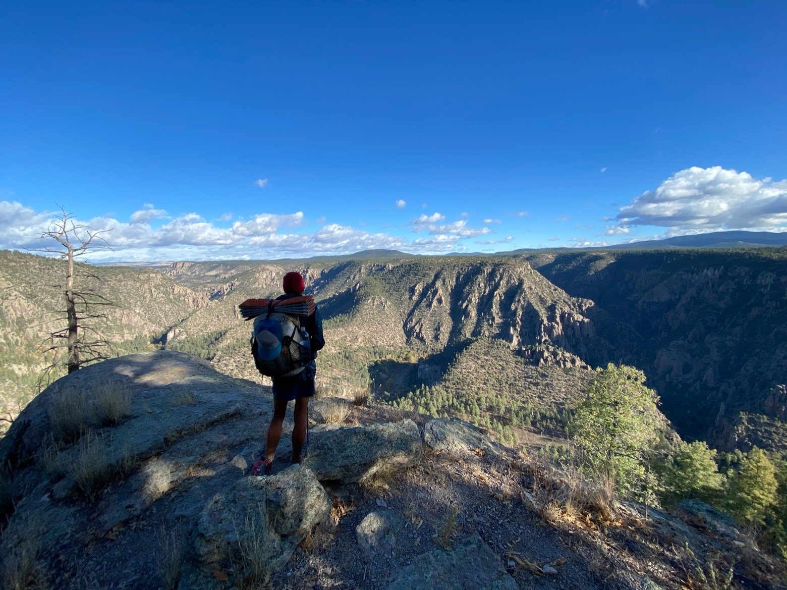 Staring into the Gila River Wilderness