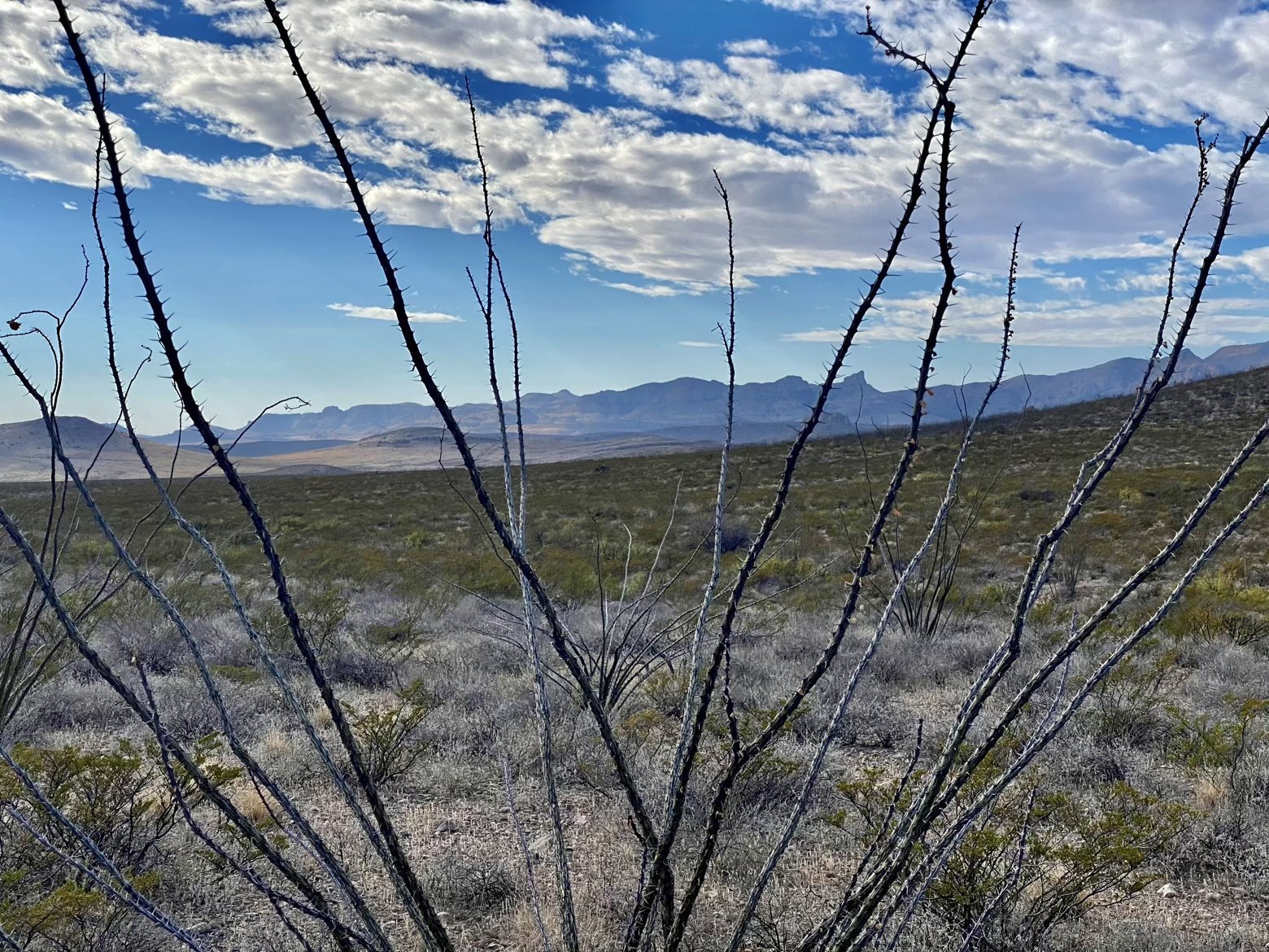 Looking out to the Animas Range