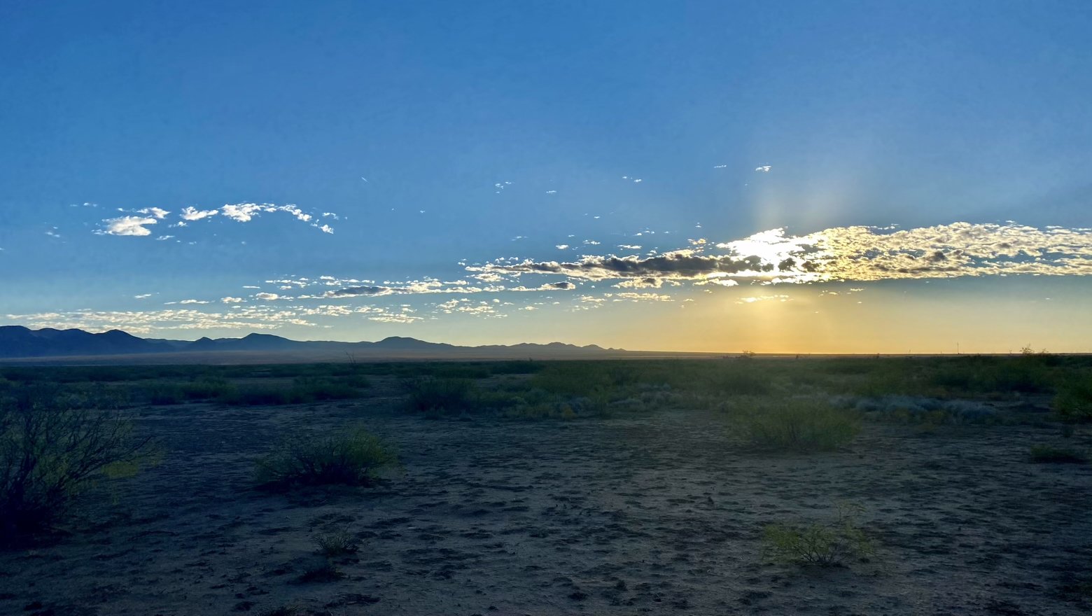 Morning dawns in the desert