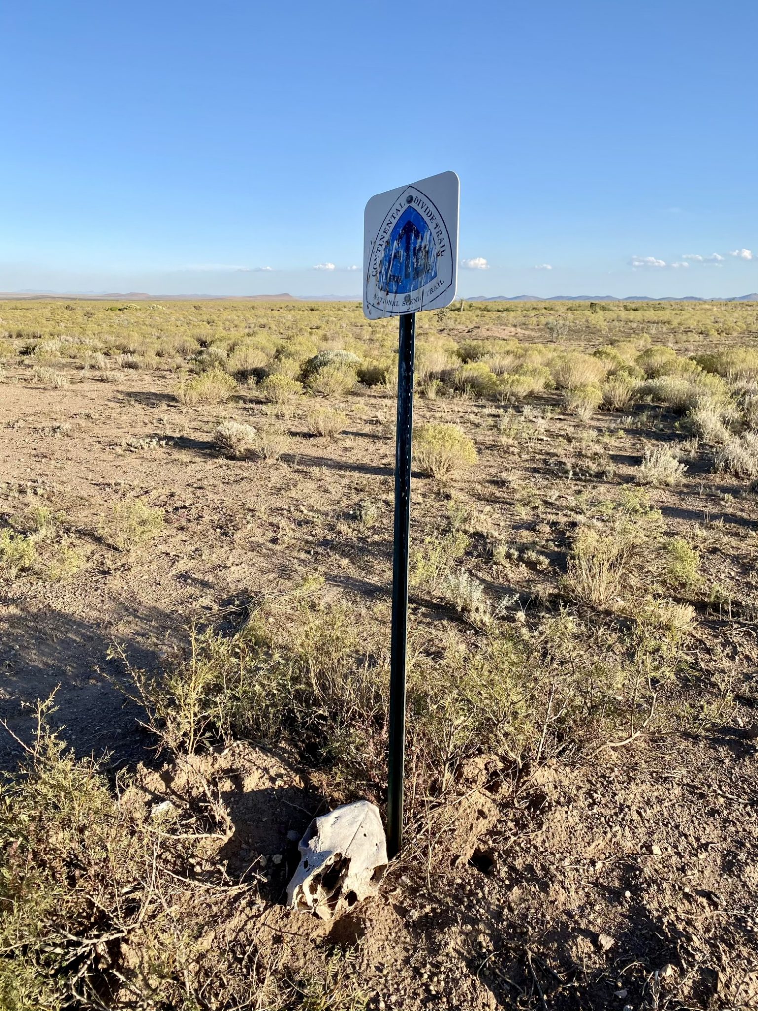 Trail marker and skull