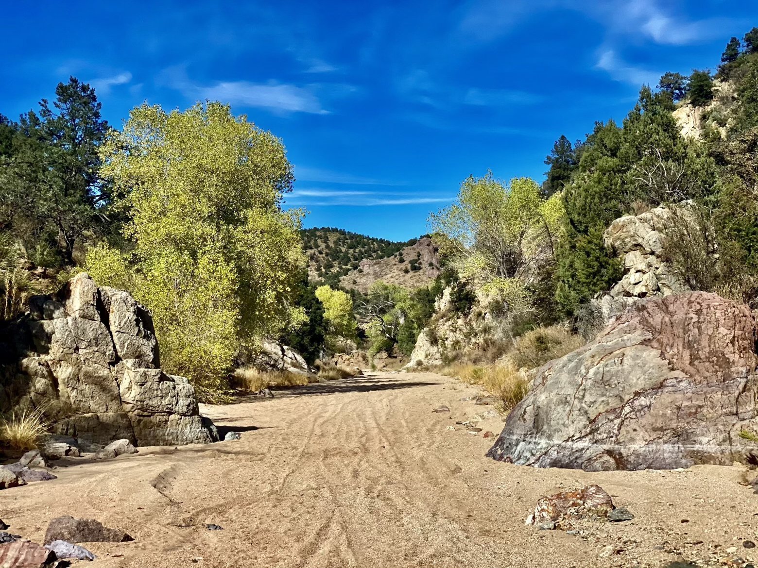 Winding through a sandy wash