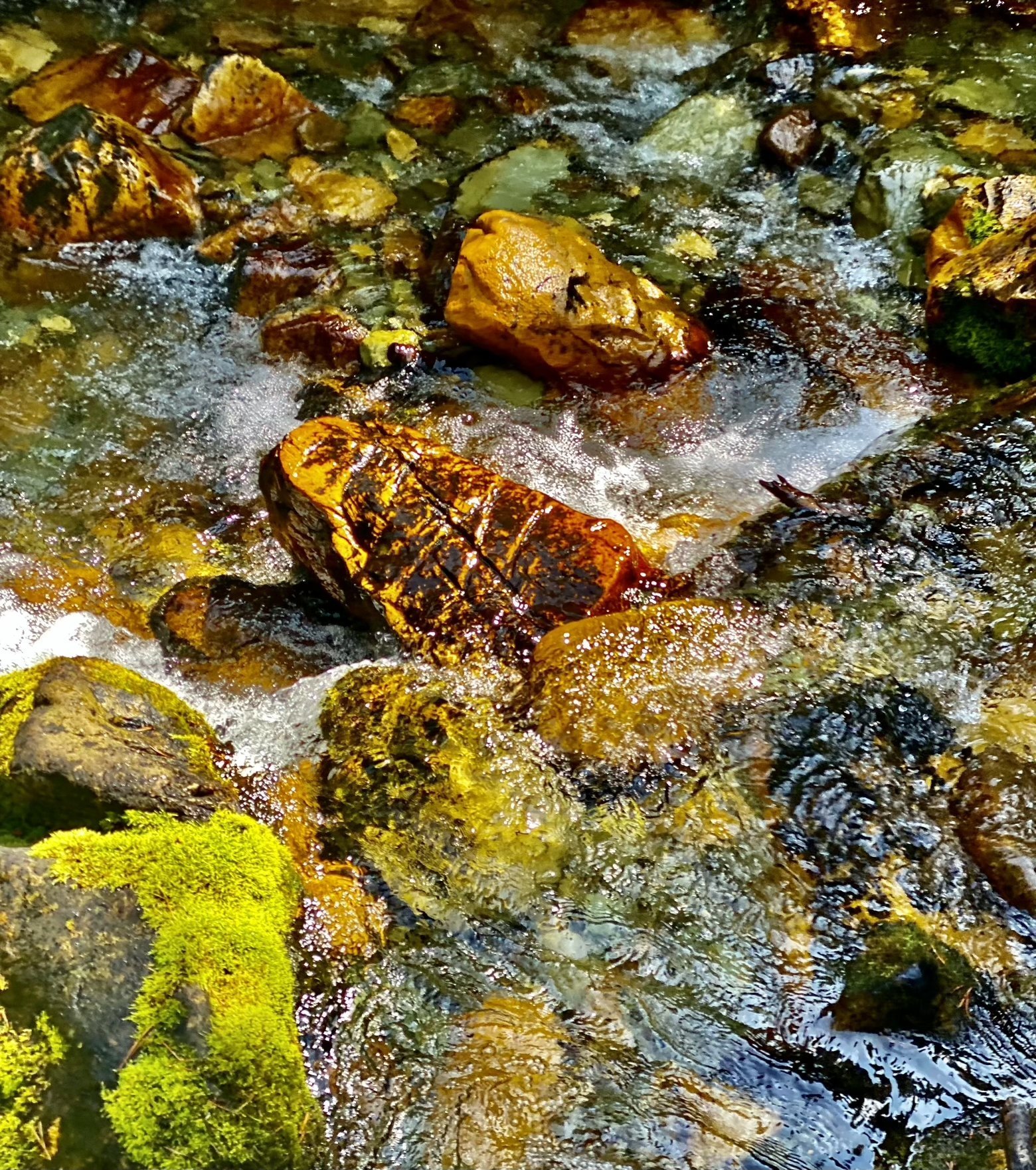 Colored rock bathing in crystal water