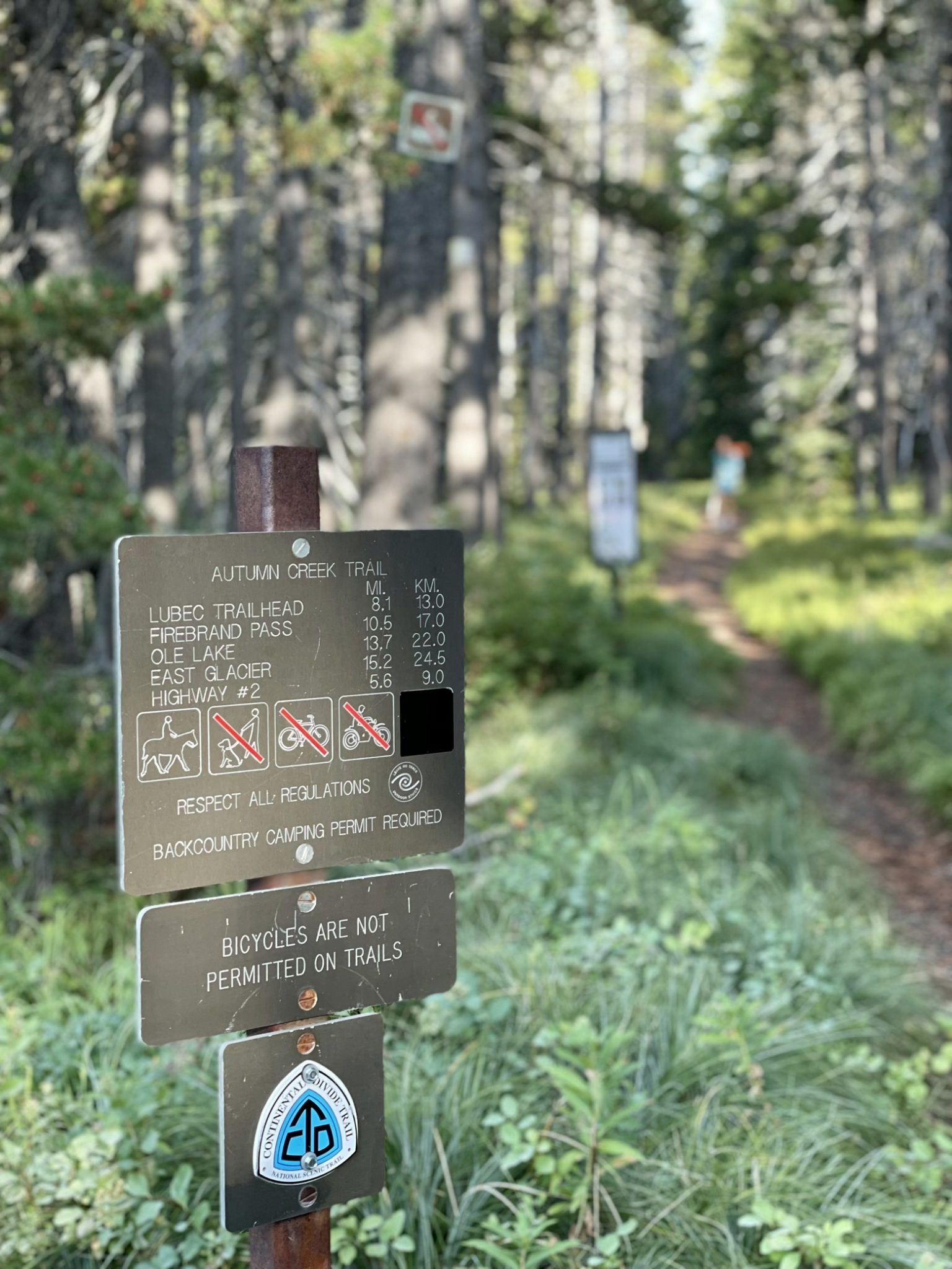 Welcome to Glacier National Park