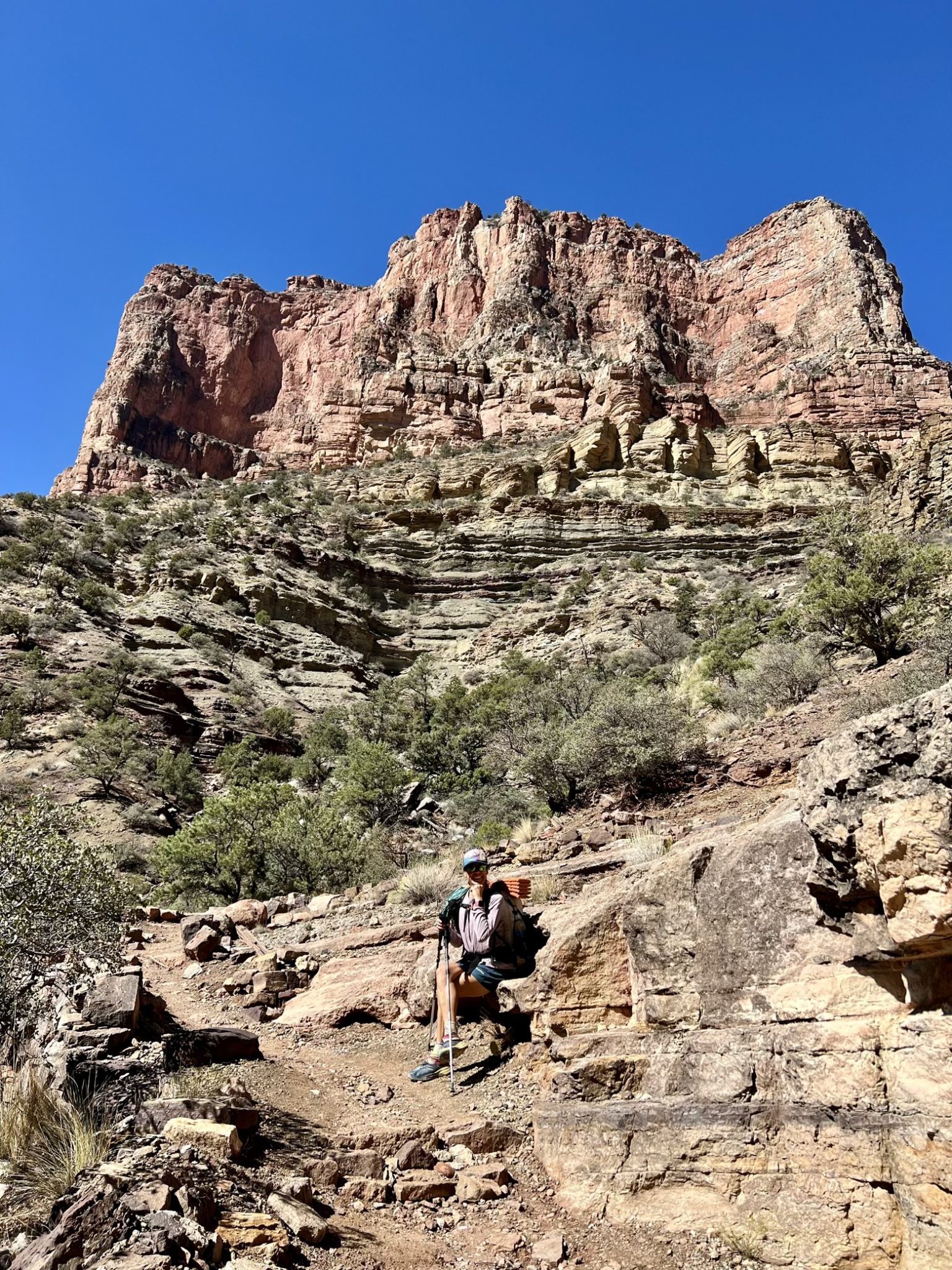 Ace enjoying nature’s throne