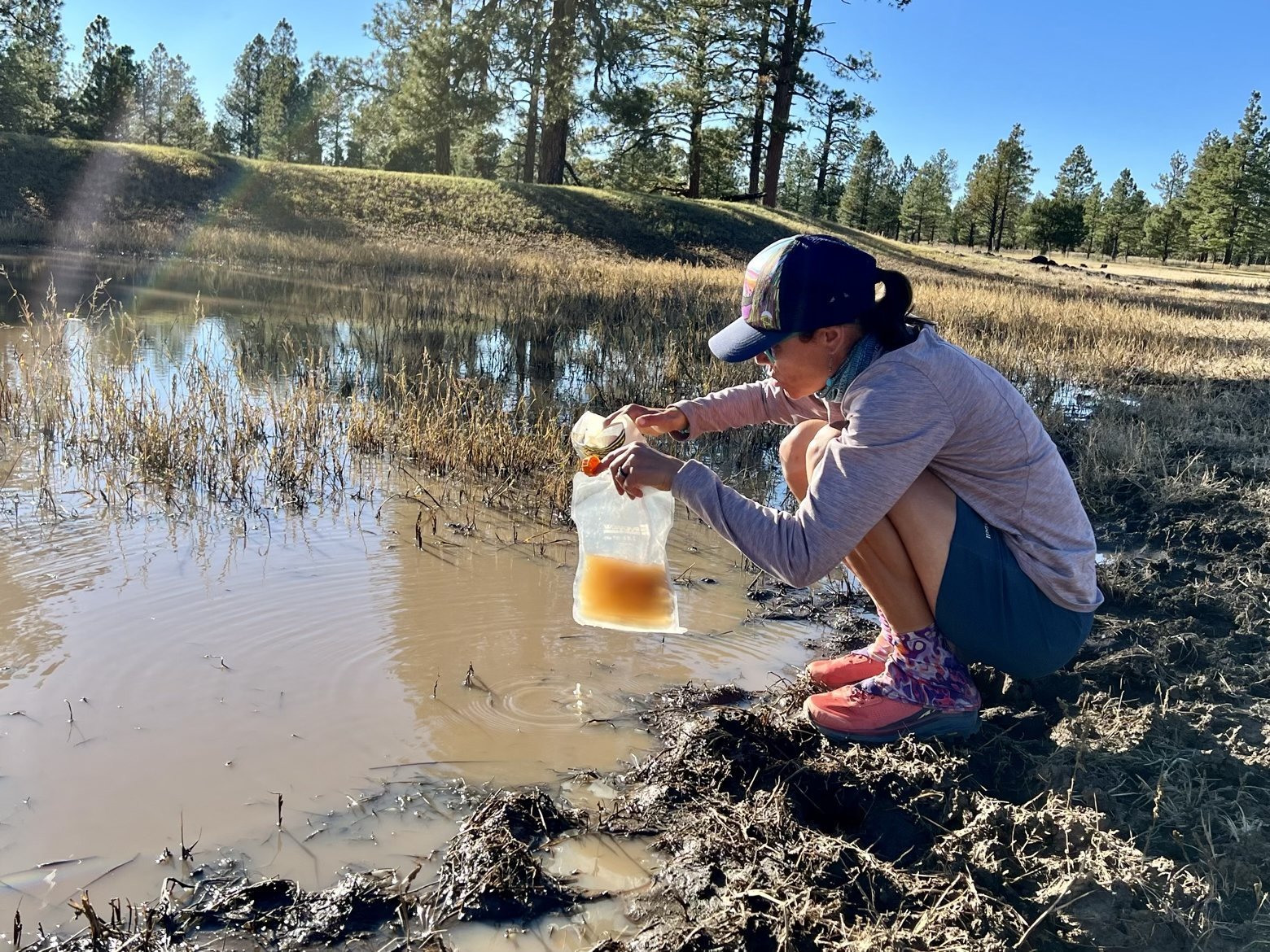 Yummy water