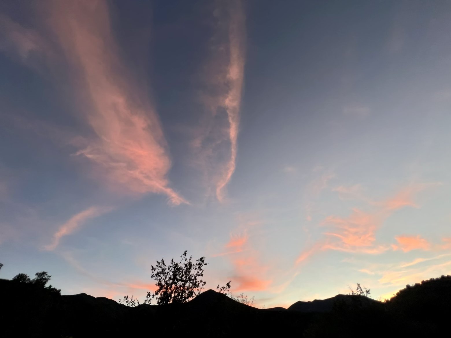 Cotton candy clouds at sunset