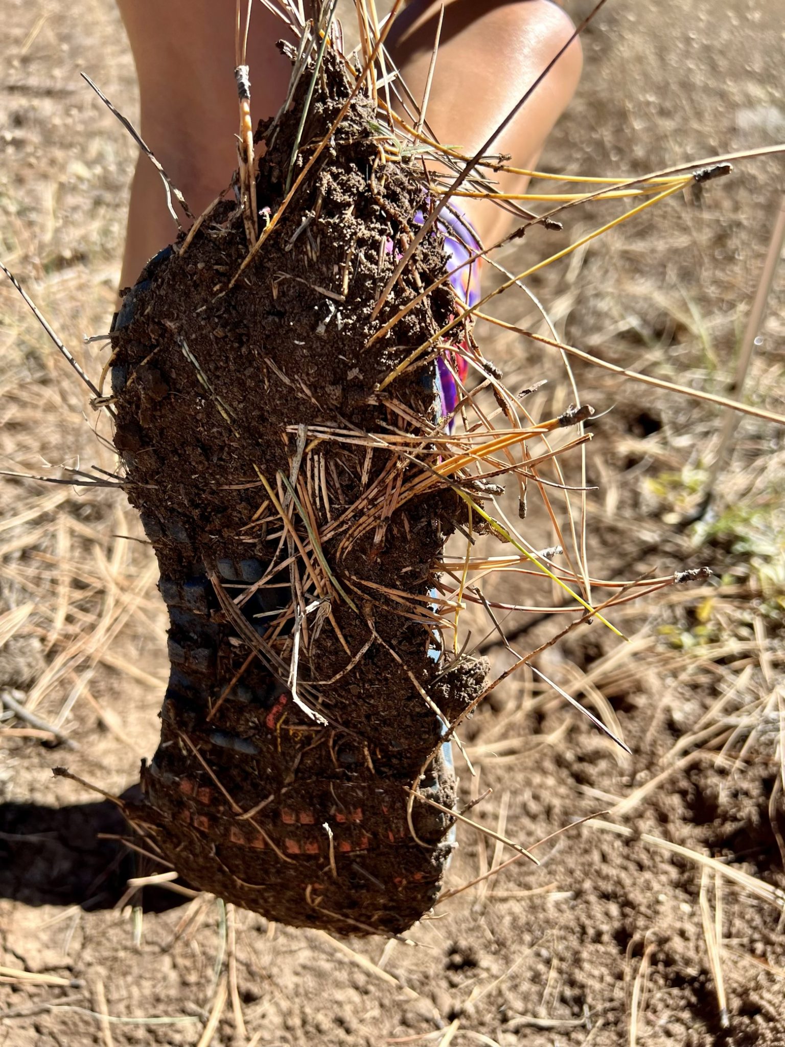 Mud caked to Ace’s shoe