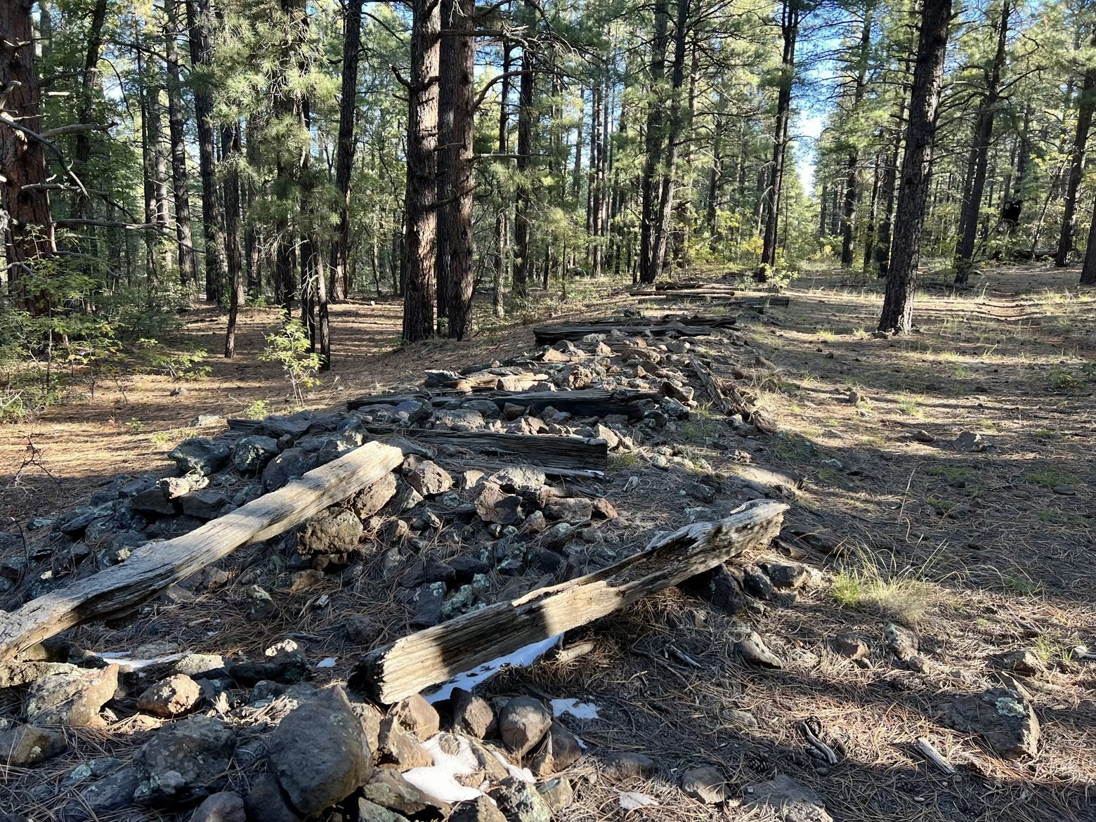 Remnants of Flagstaff Lumber Company logging railroad