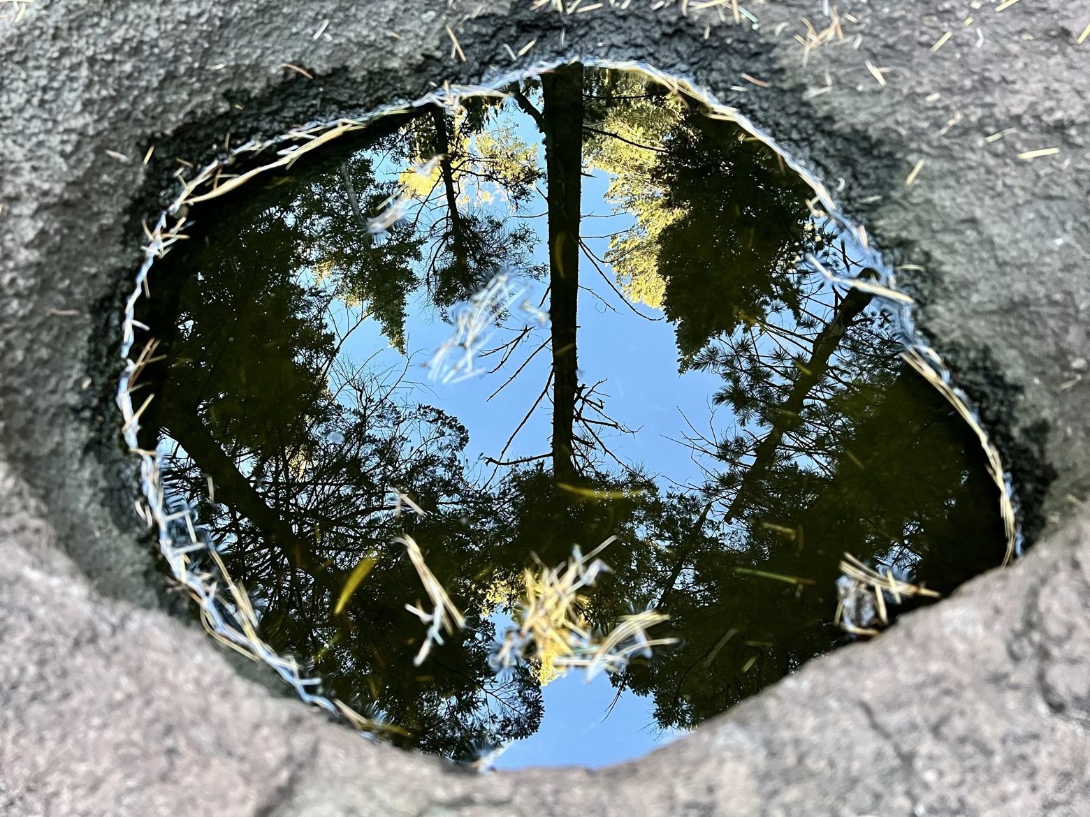 Pothole reflection