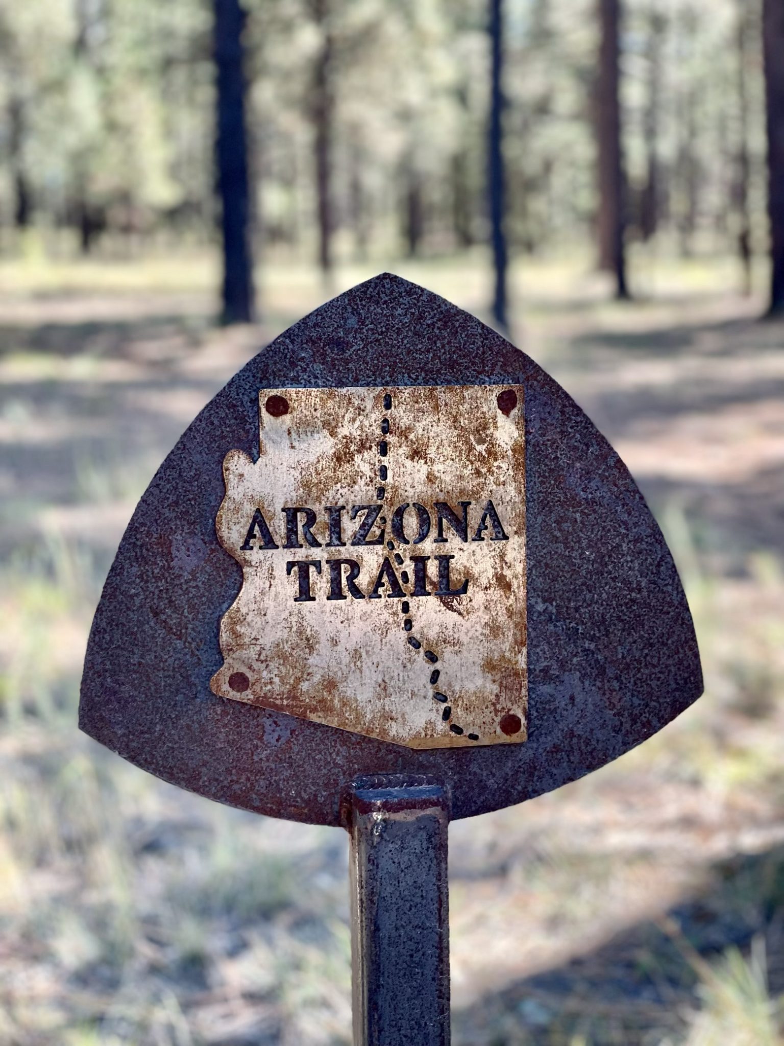 Prize-winning trail sign styling