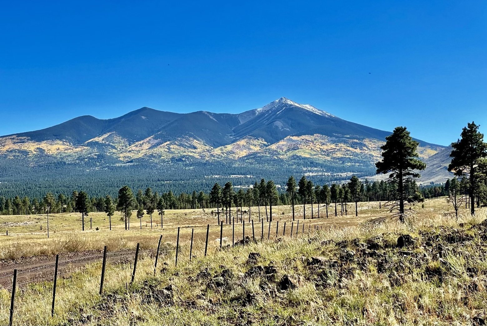 San Francisco Peaks Flagstaff Elevation