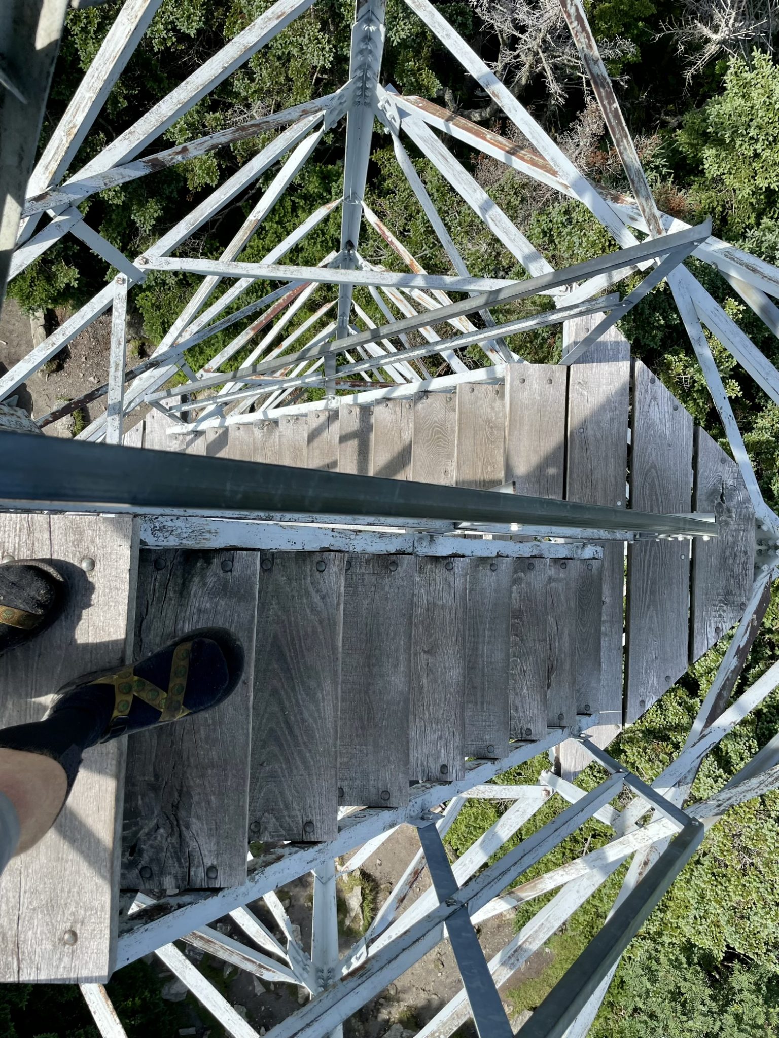 Descending the fire tower