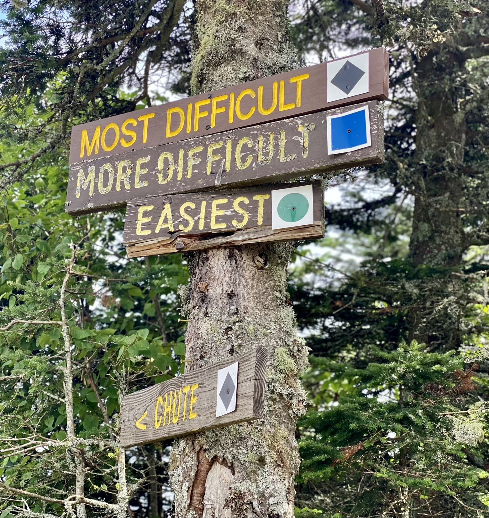 Trail signs at Mad River Glen ski area