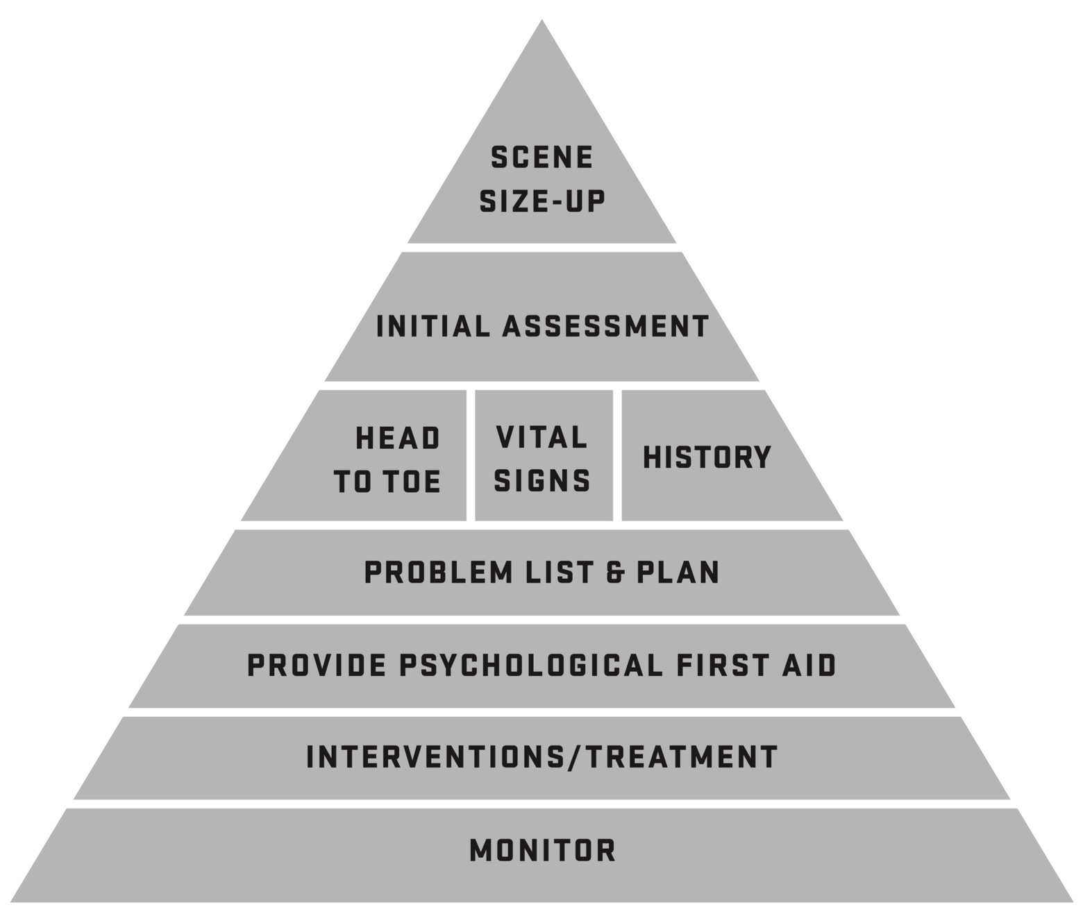 The Patient Assessment Triangle taught during WFR