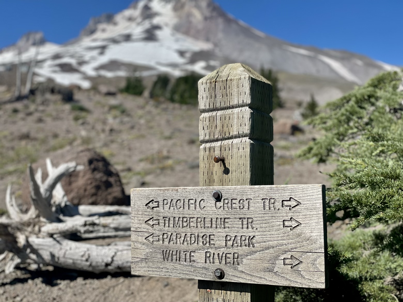Pacific Crest Trail, meet Timberline Trail
